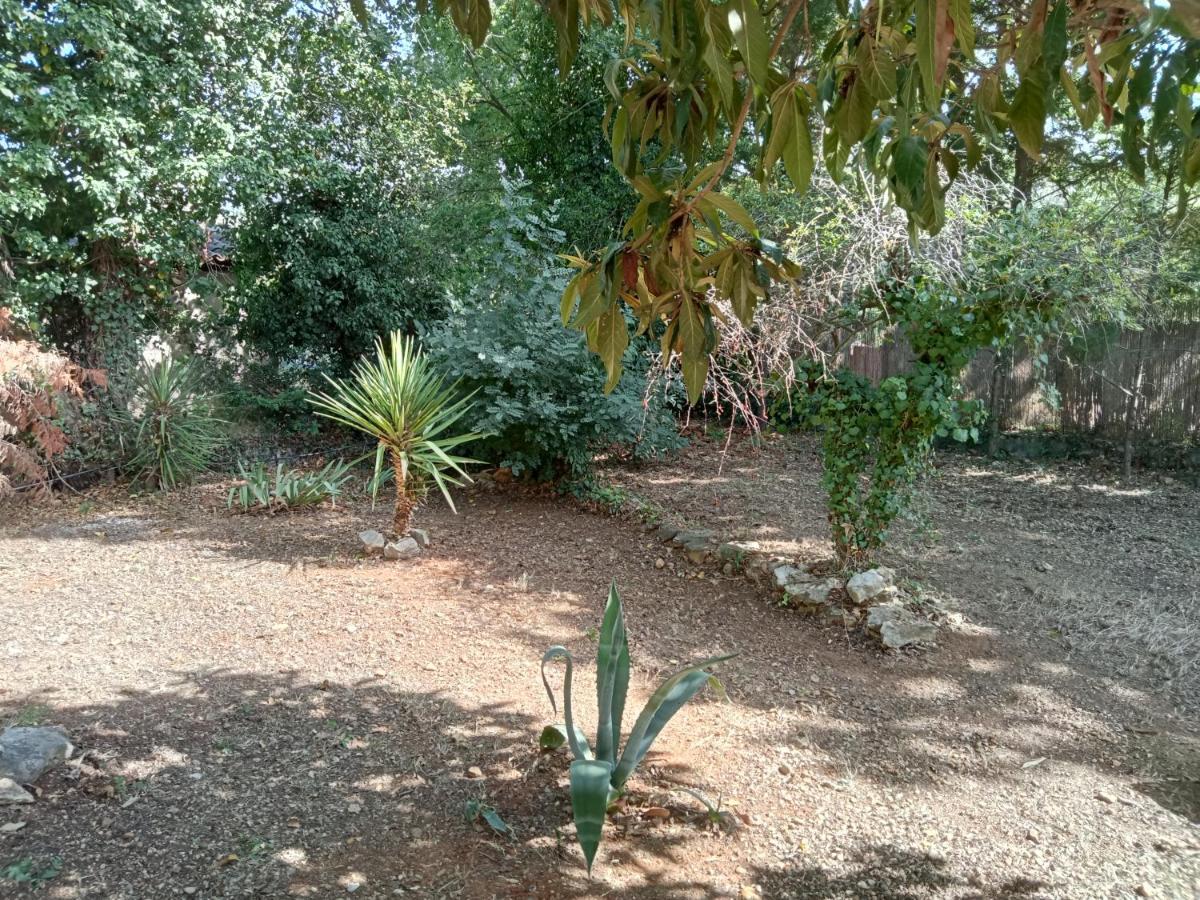 Bas De Villa Au Chant Des Cigales Lorgues Εξωτερικό φωτογραφία